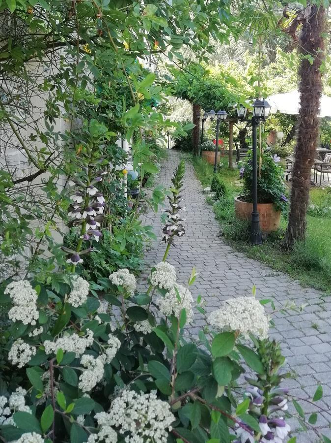 La Mirabelle-Casteil Country House Vendégház Kültér fotó