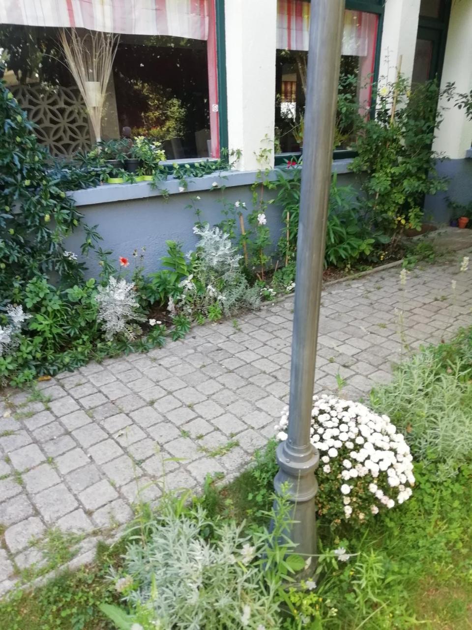 La Mirabelle-Casteil Country House Vendégház Kültér fotó
